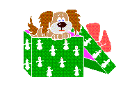 Box with dog